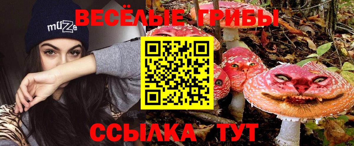 Наро-Фоминск  Псилоцибиновые грибы Magic Shrooms  где продают   Вход с VPN 
